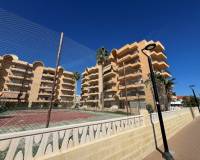 Venta - Apartment - La Mata - Los Europeos