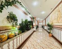 Venta - Apartment - La Mata