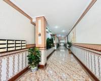 Venta - Apartment - La Mata