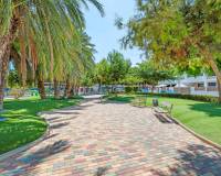 Venta - Apartment - San Pedro del Pinatar - San Pedro del Pinatar Centro
