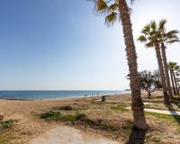 Venta - Apartment - Torrevieja - La Mata pueblo