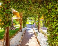 Venta - Apartment - Torrevieja - Punta Prima