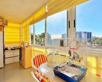 Venta - Apartment - Torrevieja - Rocio del Mar