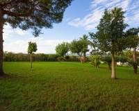 Venta - Apartment - Torrevieja - Torreblanca