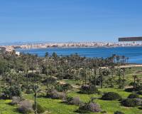 Venta - Atico - Torrevieja - Punta Prima