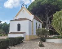 Venta - Bungalow - Torrevieja - Lago jardin
