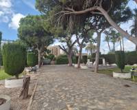 Venta - Bungalow - Torrevieja - Lago jardin