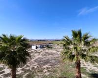 Venta - Finca - Casa de Campo - Catral