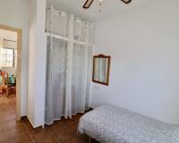 Venta - Finca - Casa de Campo - Catral