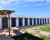 Venta - Finca - Casa de Campo - Catral