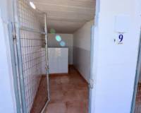 Venta - Finca - Casa de Campo - Catral