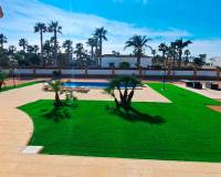 Venta - Finca - Casa de Campo - Catral