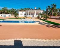 Venta - Finca - Casa de Campo - Catral