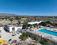 Venta - Finca - Casa de Campo - Crevillente