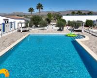 Venta - Finca - Casa de Campo - Crevillente