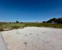 Venta - Finca - Casa de Campo - Dolores - Comunidad Valenciana