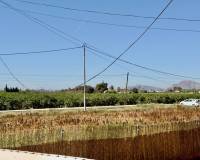 Venta - Finca - Casa de Campo - Dolores - Comunidad Valenciana