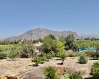 Venta - Finca - Casa de Campo - Orihuela Costa - Orihuela