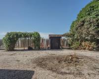 Venta - Finca - Casa de Campo - Orihuela Costa - San Bartolome