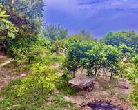 Venta - Finca - Casa de Campo - Rojales - Cuidad Quesada