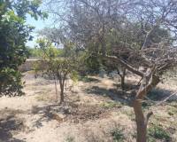 Venta - Finca - Casa de Campo - Rojales - Cuidad Quesada