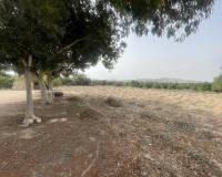 Venta - Finca - Casa de Campo - Rojales