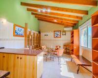 Venta - Finca - Casa de Campo - Rojales