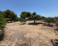 Venta - Finca - Casa de Campo - Torrellano