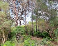 Venta - Terreno urbanizable - Denia - La Pedrera