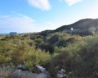 Venta - Terreno urbanizable - Guardamar Del Segura - Los Secanos