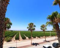 Venta - Villa-Chalet - Algorfa - La Finca Golf