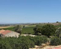 Venta - Villa-Chalet - Algorfa - Lomas De La Juliana