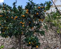 Venta - Villa-Chalet - Benissa - Fanadix