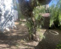 Venta - Villa-Chalet - Cabo Roig