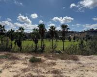 Venta - Villa-Chalet - Ciudad Quesada - La Marquesa Golf