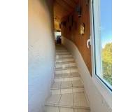 Venta - Villa-Chalet - Orihuela Costa - La Zenia