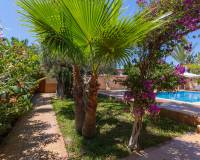 Venta - Villa-Chalet - Orihuela Costa