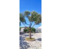 Venta - Villa-Chalet - Rojales - Ciudad Quesada