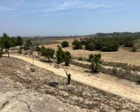 Venta - Villa-Chalet - San Miguel de Salinas - San Miguel Salinas