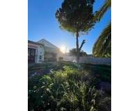 Venta - Villa-Chalet - Torrevieja - Aguas Nuevas