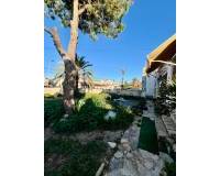 Venta - Villa-Chalet - Torrevieja - Aguas Nuevas