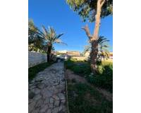 Venta - Villa-Chalet - Torrevieja - Aguas Nuevas