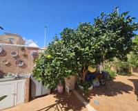 Venta - Villa-Chalet - Torrevieja - Torre La Mata