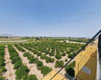 Wederverkoop - Apartment - Daya Nueva