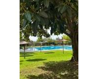 Wederverkoop - Apartment - Guardamar Del Segura - Avda del Puerto