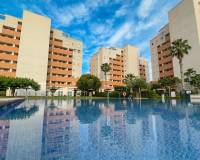 Wederverkoop - Apartment - Guardamar Del Segura - Avda del Puerto