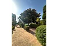 Wederverkoop - Apartment - Guardamar Del Segura - Avda del Puerto
