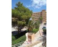 Wederverkoop - Apartment - Guardamar Del Segura - Pinomar