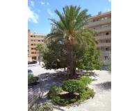Wederverkoop - Apartment - Guardamar Del Segura - Pinomar