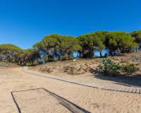 Wederverkoop - Apartment - Guardamar Del Segura - Urb. pinomar